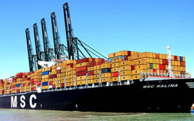 Poor quality fuel sees MSC vessel stall in the Pacific