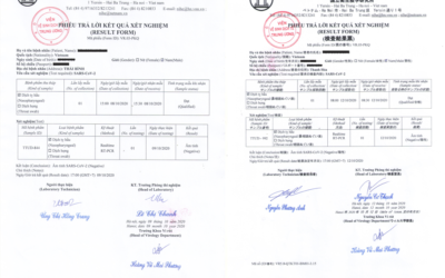 Nhập Cảnh Vào Hàn Quốc Phải Xét Nghiệm PCR Covid Trong Vòng 72h
