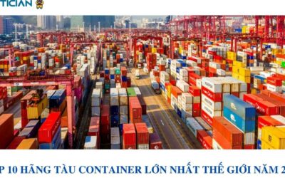 TOP 10 HÃNG TÀU CONTAINER LỚN NHẤT THẾ GIỚI NĂM 2020