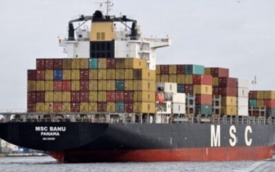 MSC nâng cấp các dịch vụ vận chuyển tuyến nội Á