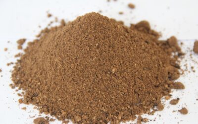 Khô dầu cọ (Palm Kernel Expeller – PKE), nguồn nguyên liệu để sản xuất thức ăn chăn nuôi