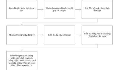 THỦ TỤC KIỂM DỊCH THỰC VẬT XUẤT NHẬP KHẨU