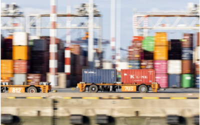 No rate relief for shippers on main box trades as consumer demand persists