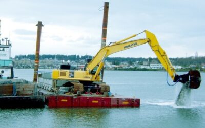 Vi phạm đổ thải, nhận chìm hàng hải bị phạt đến 100 triệu đồng