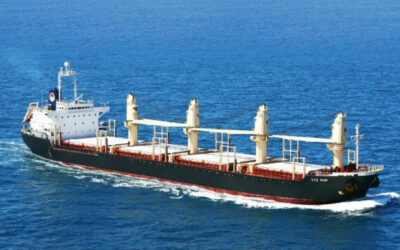 Nhiều sáng kiến hỗ trợ đăng kiểm tàu biển thời dịch Covid-19