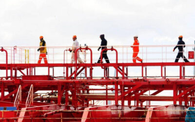 Tự ý cho thuyền viên rời tàu bị phạt đến 30 triệu đồng